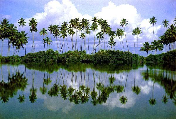 Sai Holiday Inn Jaffna Kültér fotó