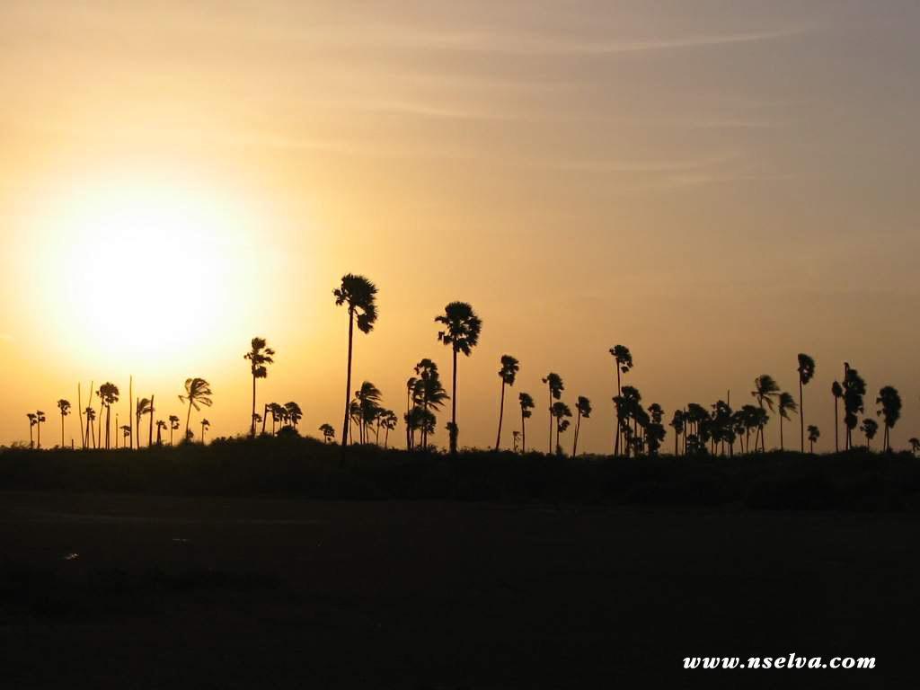 Sai Holiday Inn Jaffna Kültér fotó