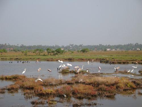 Sai Holiday Inn Jaffna Kültér fotó